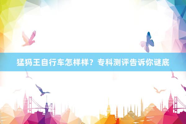 猛犸王自行车怎样样？专科测评告诉你谜底