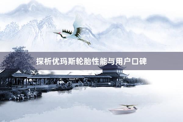 探析优玛斯轮胎性能与用户口碑
